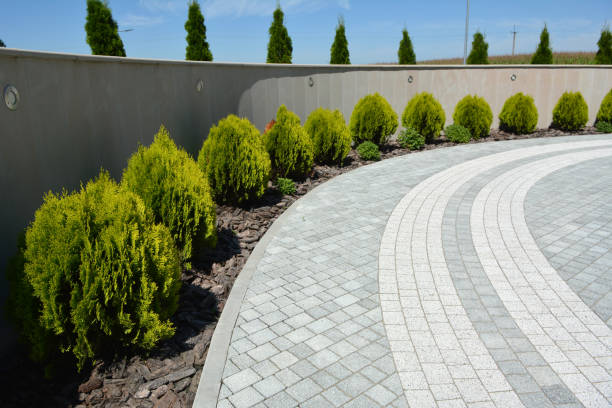 Best Best Driveway Pavers  in Nashwauk, MN