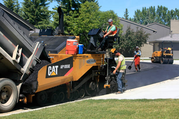 Best Driveway Pavers Near Me  in Nashwauk, MN